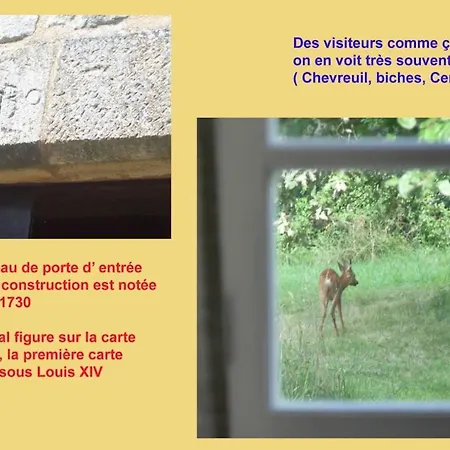 Demeure Du Xviiieme Siecle - Vallee Vezere 펜션 *