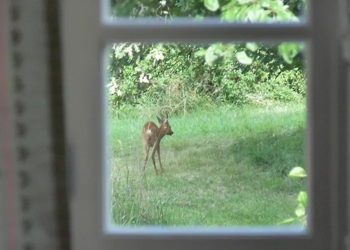 Demeure Du Xviiieme Siecle - Vallee Vezere ル・ビュグ